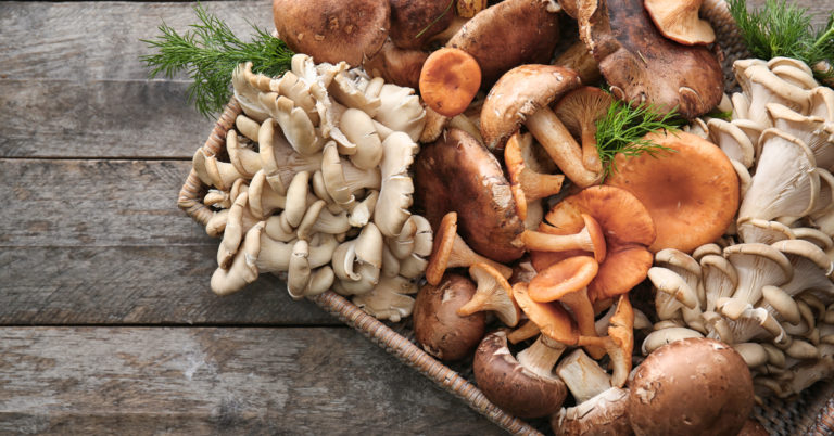 How To Prepare Mushrooms In 5 Different Ways - Ageful