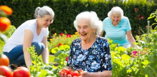 innovative senior wellness solutions