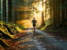 resilience in fluctuating motivation