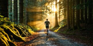 resilience in fluctuating motivation