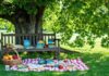 summer reading recommendations list