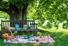 summer reading recommendations list