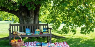 summer reading recommendations list